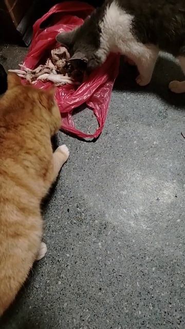 Дружные ребятакушают вкусненькое.