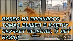 САМВЕЛ АДАМЯН, ПО ПРОСЬБАМ ЗРИТЕЛЕЙ, ТОМАС ВЫШЕЛ В КЛЕТКУ, СКУЧАЕТ ПО КОЛЕ, 5 ЛЕТ НАЗАД
..