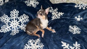 Доброго всем утречка и чудесной субботы.