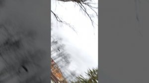 Марк и игрок