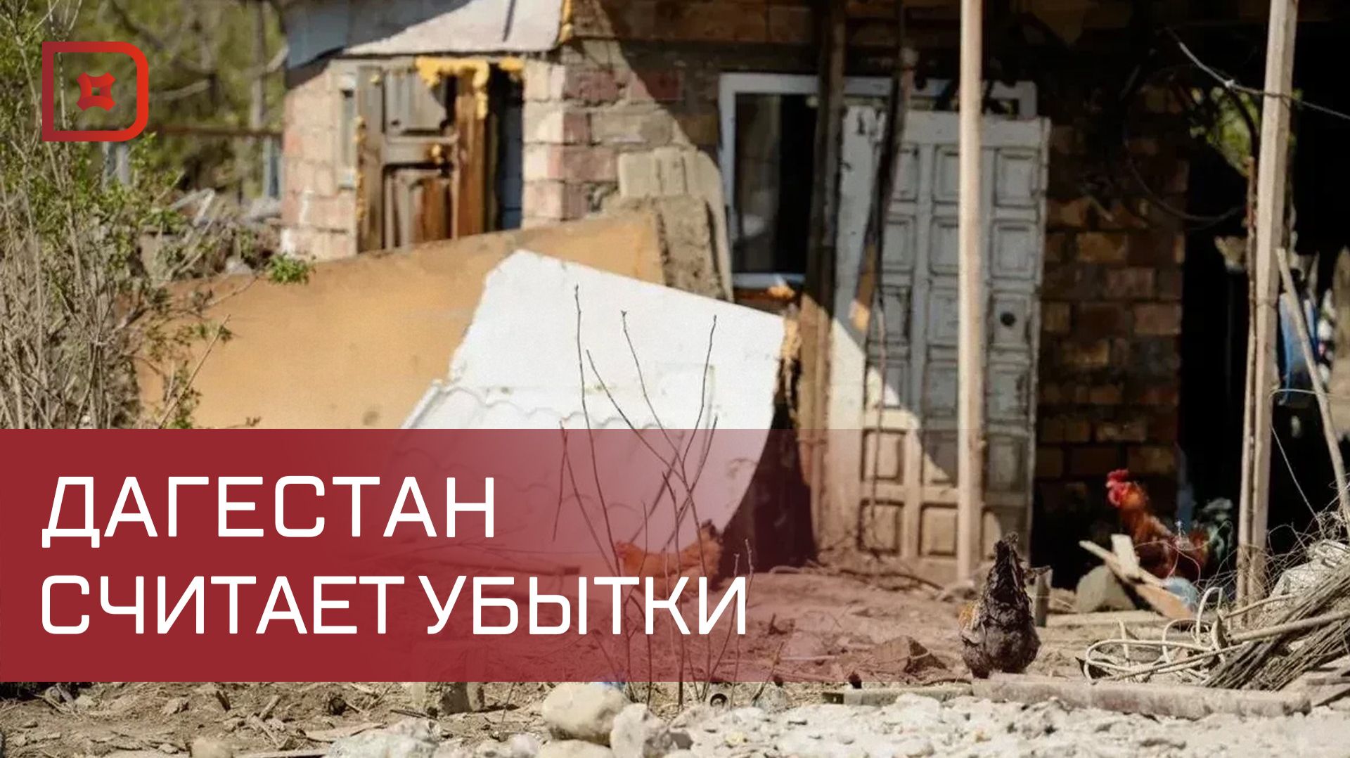 В Дагестан прибыл замминистра сельского хозяйства России Роман Некрасов