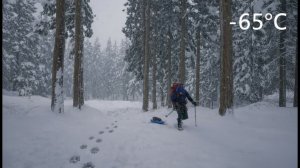 По следам волка при температуре -65 °C / Выживание в экстремальном холоде