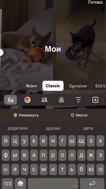 Нюхательный мяч — самая важная игрушка в жизни каждой собаки