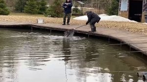 Поимка Форели