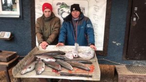 улов форели 23 кг