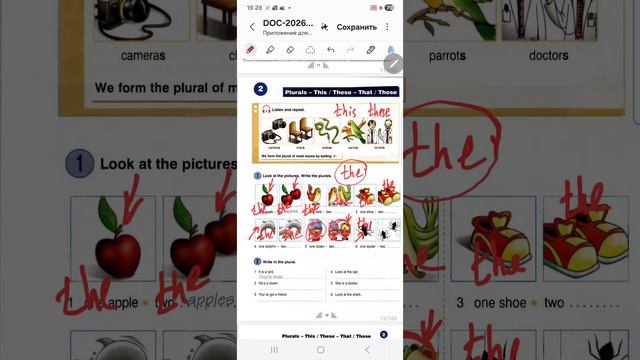 миникурс 📔ИСЧИСЛЯЕМЫЕ  и НЕИСЧИСЛЯЕМЫЕ существительны. УРОК 1 , ИСЧИСЛЯЕМЫЕ сущ. выбор A или The✔️