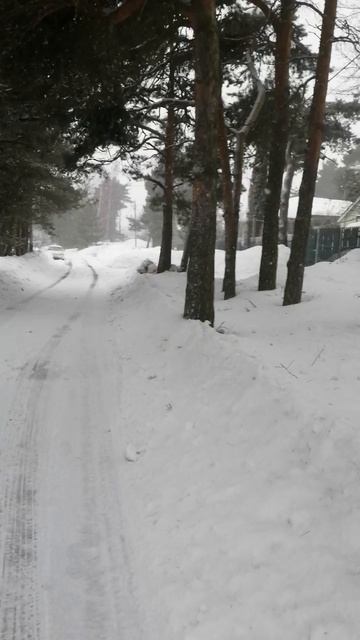 VID_20260304_144107.mp4 смотреть онлайн