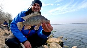 ТИЛАПИЯ НА ФИДЕР! Клев который я не забуду! Рыбалка в апреле