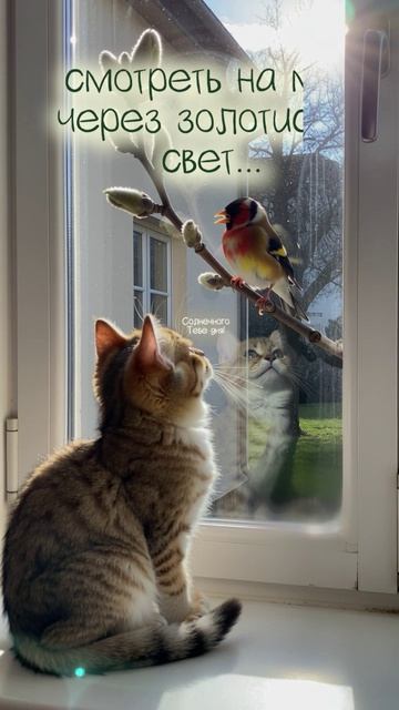 Лучшая тактика на сегодня — смотреть на мир через золотистый свет... Солнечного Тебе дня! 🪶☀️❤️