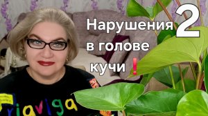 2 часть. Нарушения в голове у кучи❗️