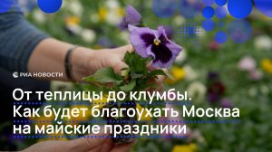 От теплицы до клумбы. Как будет благоухать Москва на майские праздники