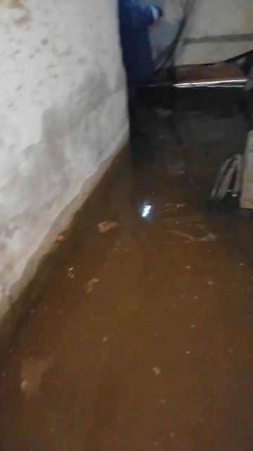 бассейн в подвале,можно поплавать