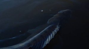 Правильная проводка крупного СЛАГА, БЕЗ эхолота! Рыбалка на спиннинг с каяка.