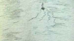 Девочка и дельфин поет Ольга РОЖДЕСТВЕНСКАЯ