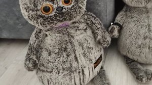 ОБЫЧНЫЙ ДЕНЬ БАСИКОВ/★БАСИКИ ЛУЧШЕЕ★