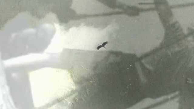 Весеннее настроение