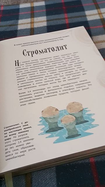 Книжка про динозавров🦖