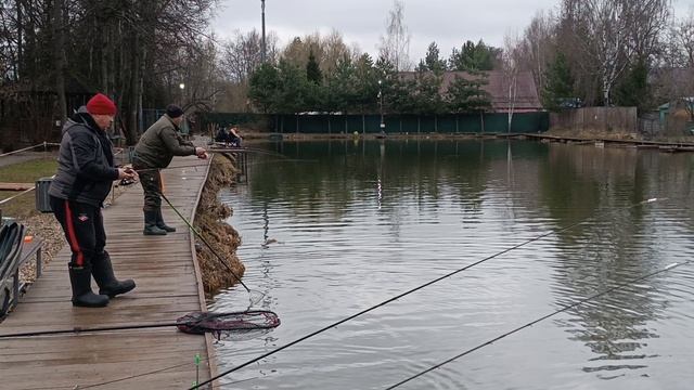 Поимка форели. РК Липки