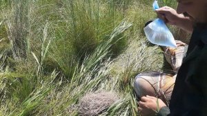 Реально ли разжечь огонь с помощью пакета с водой или стекла, фокусируя солнечный свет