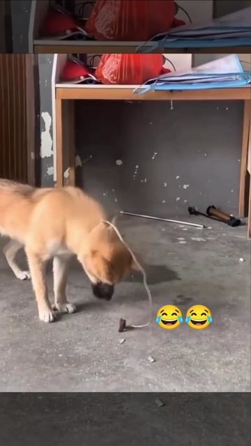 Ну и кого ты пытался обмануть