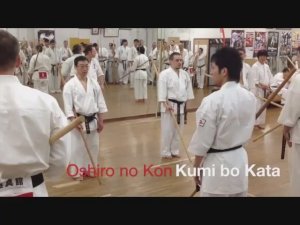 Осиро но Кон Бункай - Ката Карате Кёкусинкай (Oshiro no Kon Bunkai - 大城の棍)v.1