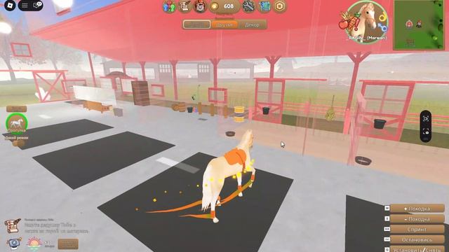 острова диких лошадей!