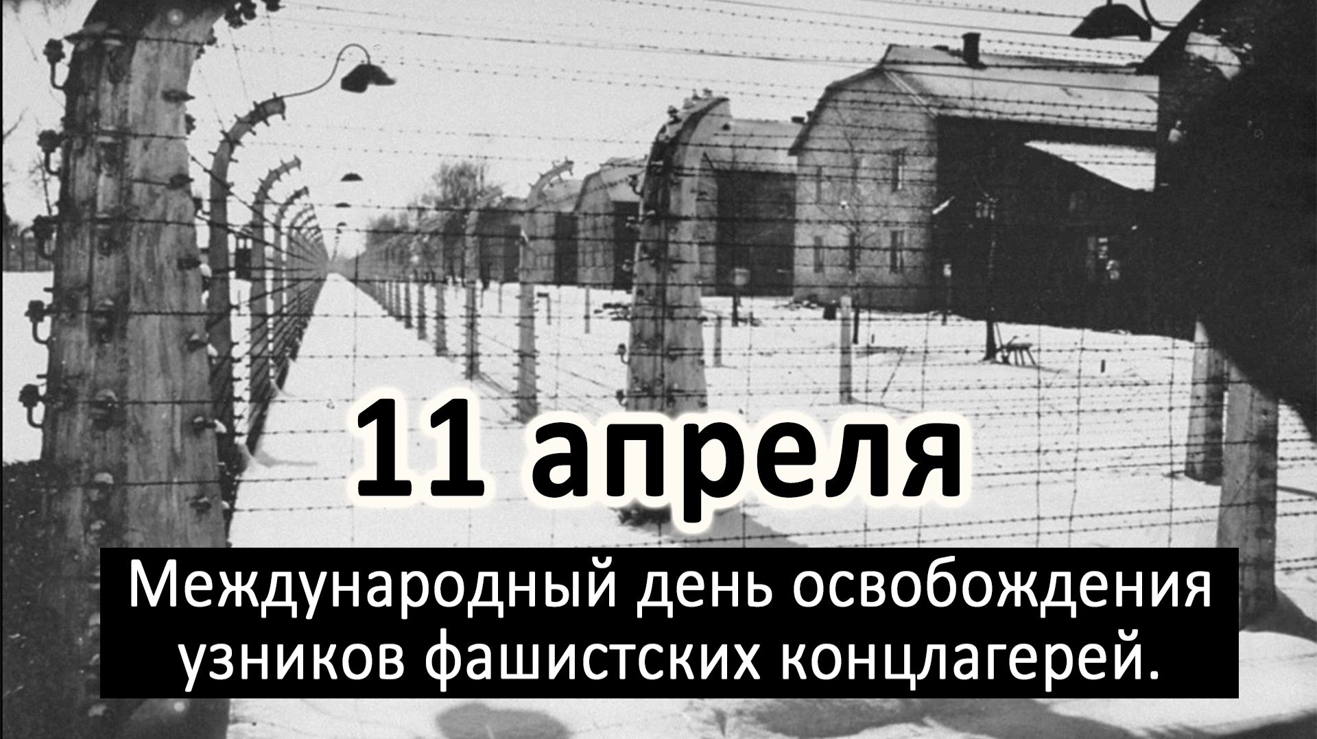 Узникам концлагерей посвящается. Подвиг моей мамы