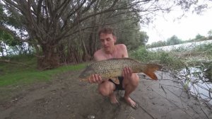 САЗАН, РАКИ, ЖОР "КАРАНДАШЕЙ", ПОЛЕЗ ЗА НИМ В КАМЫШИ.