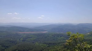 вид, какой вид