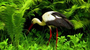 Аист. 2015 год