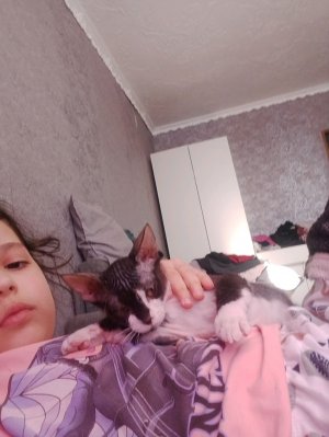 опять танцую