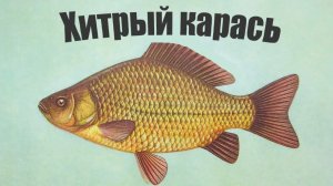 Карась ждёт))))))))