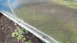 Сборка теплицы 4х3 с основанием шифер Монтаж теплицы своими руками