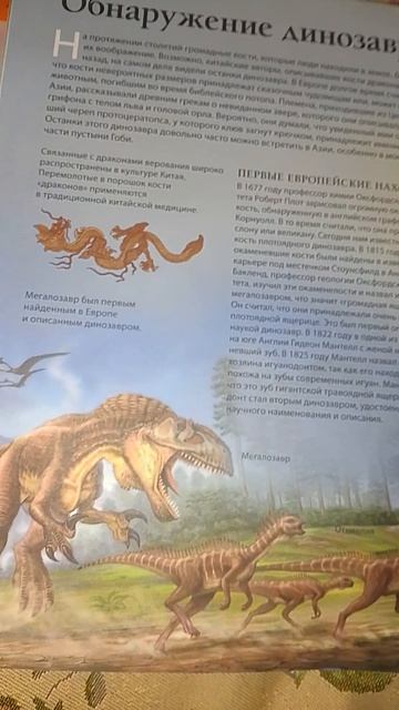 Доказательство того, что авторы БДЭД — пофигисты 🤦🏻♂️