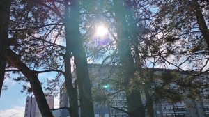 Хорошего весеннего настроения