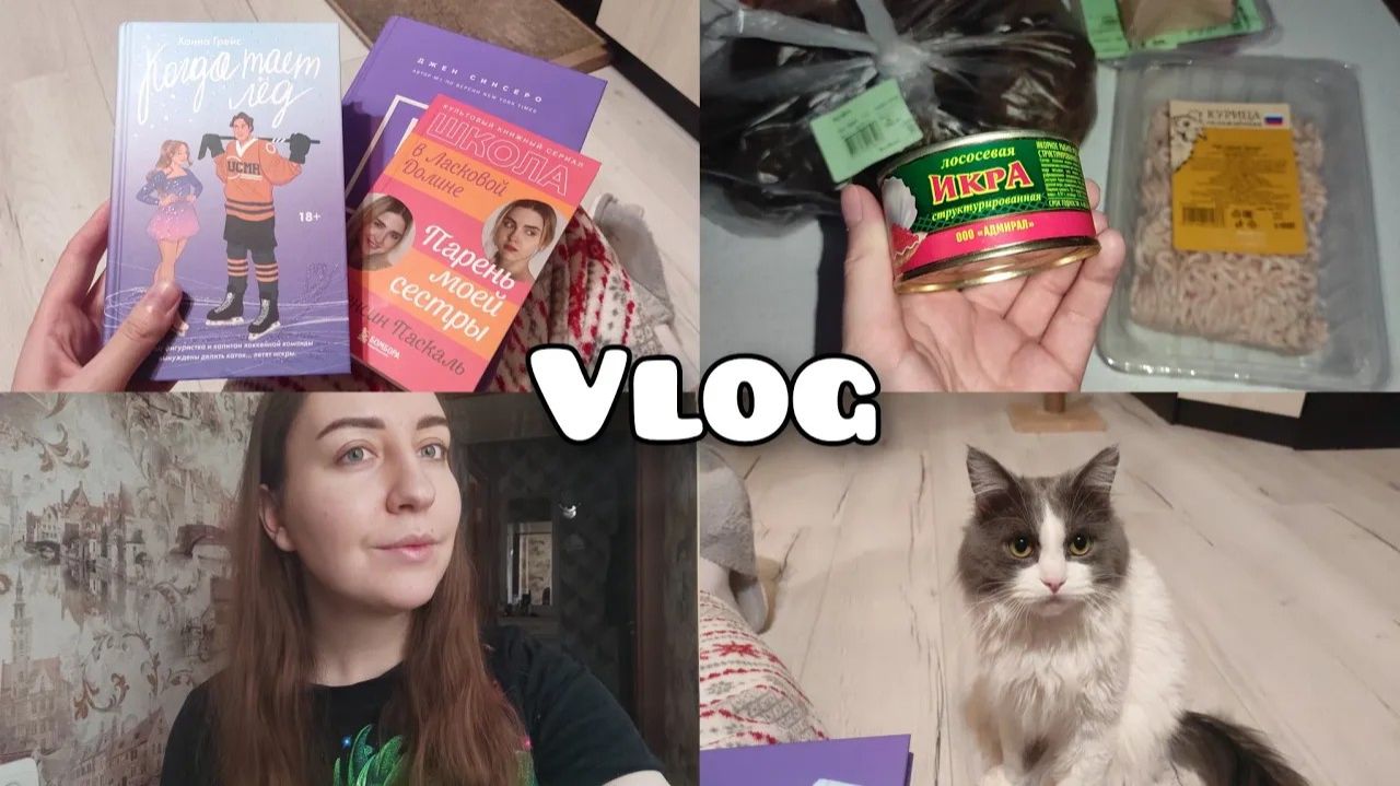 АРХИВ 2024 L Vlog: состояние слабости | закупка на неделю | последнее прочитанное | 12.02.2024