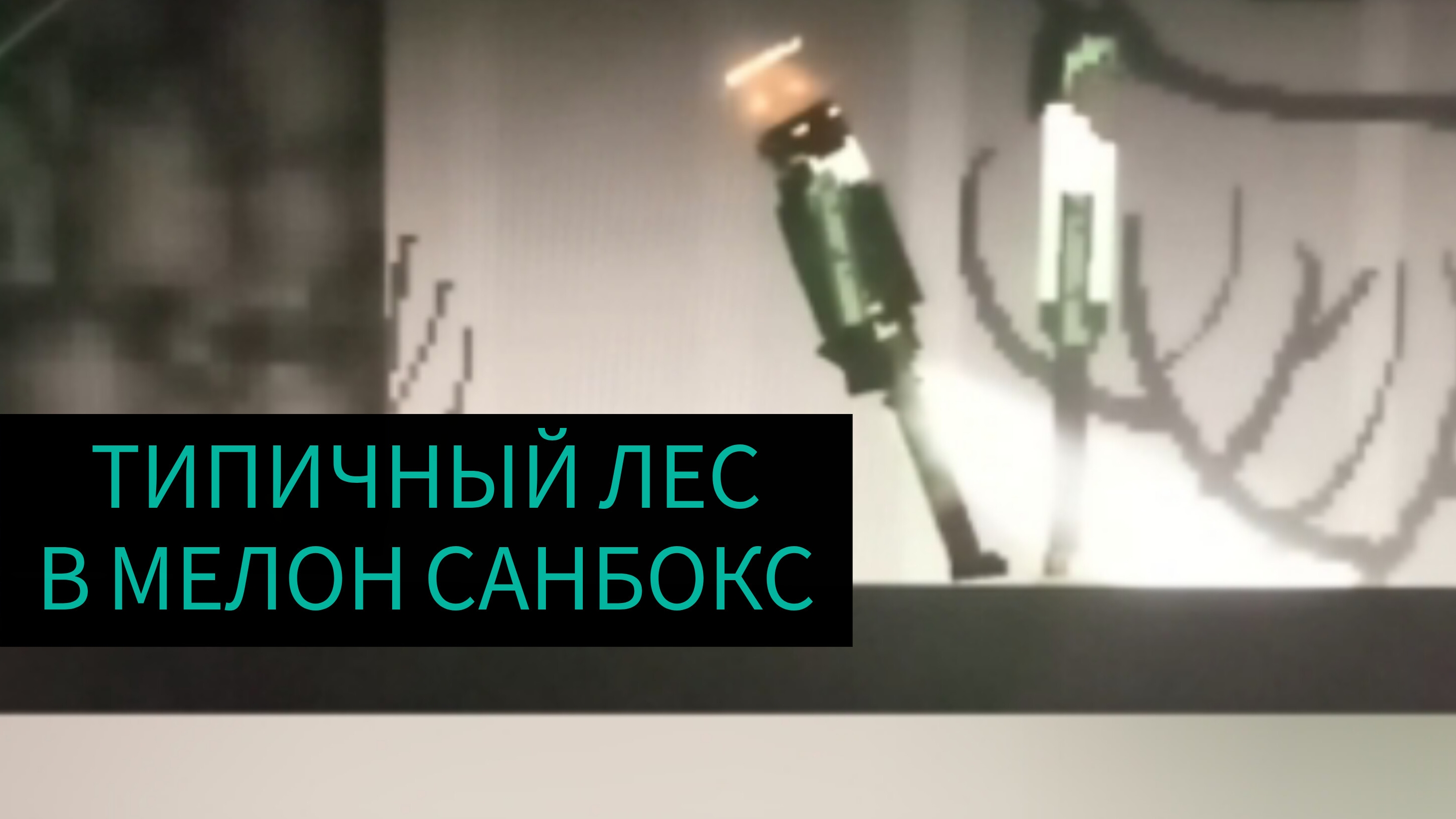 ТИПИЧНЫЙ ЛЕС В МЕЛОН САНБОКС