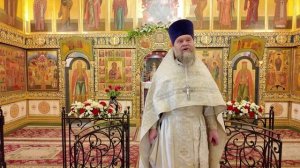 Отец Димитрий Лин_ПРОПОВЕДЬ_11.04.2026