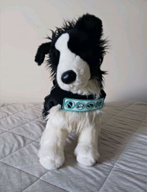 трансляция