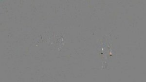 Кросс наций 2024 / маоу сош 2 Тобольск