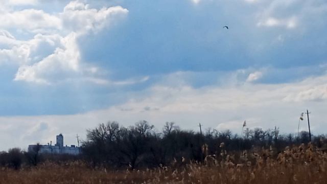 Прогулка по лугу у речки 11-04-2026 часть 2