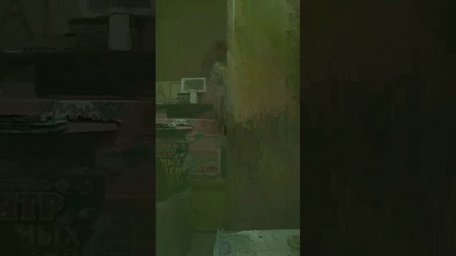 книга Лили Лавдрэйс домик обзор