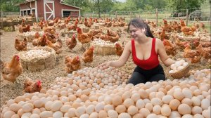 Собрала более 1000 куриных и индюшачьих яиц ｜ Быстро раскупили на деревенском рынке.