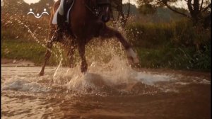 Клип "Божий свет"