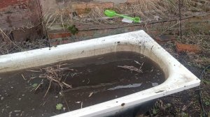 Буся и буня готовят суп