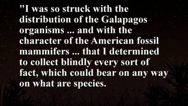 Lecture 13 Darwin and Natural Selection смотреть онлайн