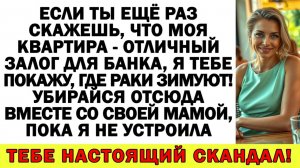 Истории из жизни| Свекровь хотела заложить мою квартиру, а теперь |Аудио рассказы|Жизненные истории