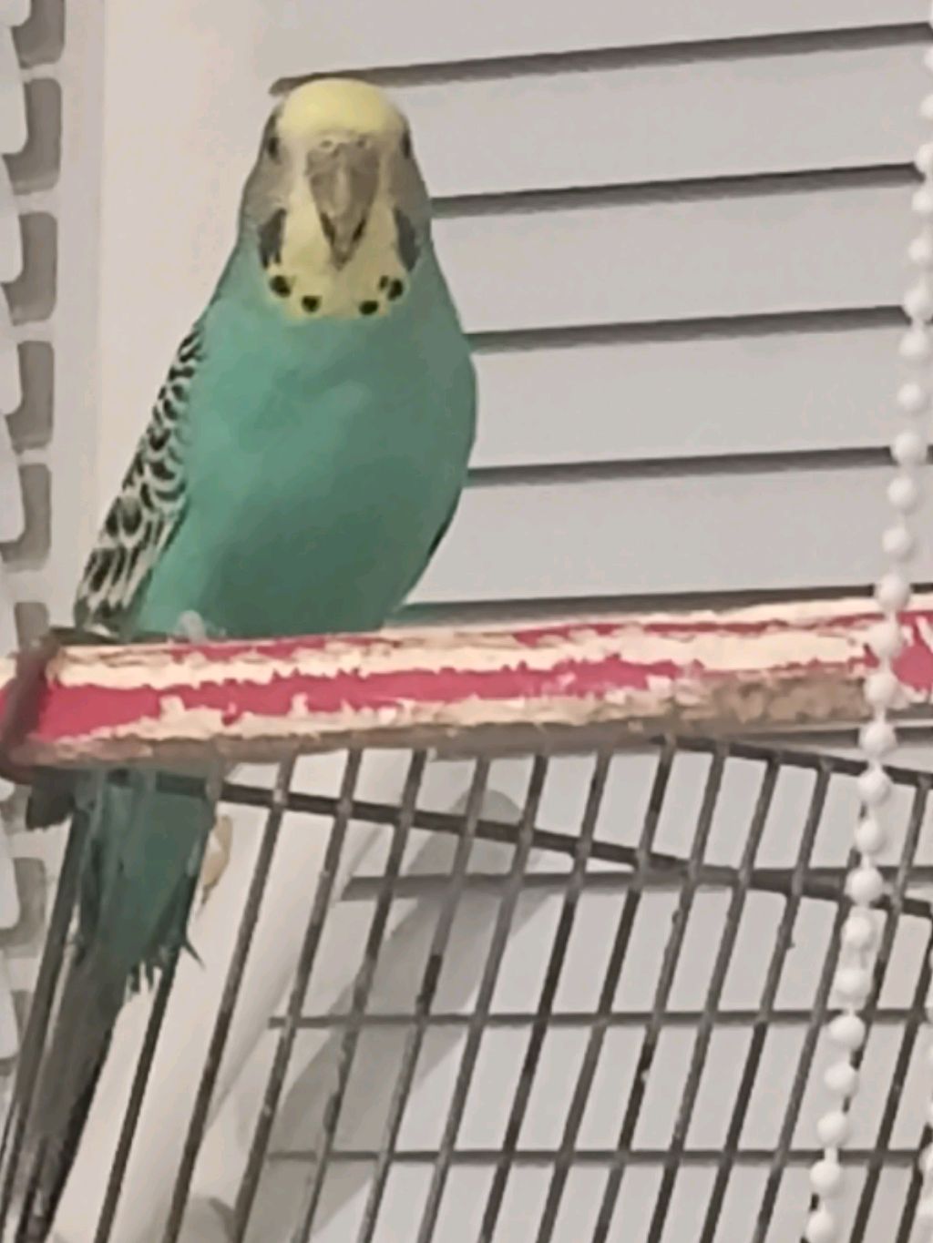 сегодня произошла просто жесть