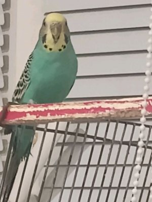 сегодня произошла просто жесть