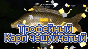 Медное-Карп чешуйчатый#РР4#Русскаярыбалка4